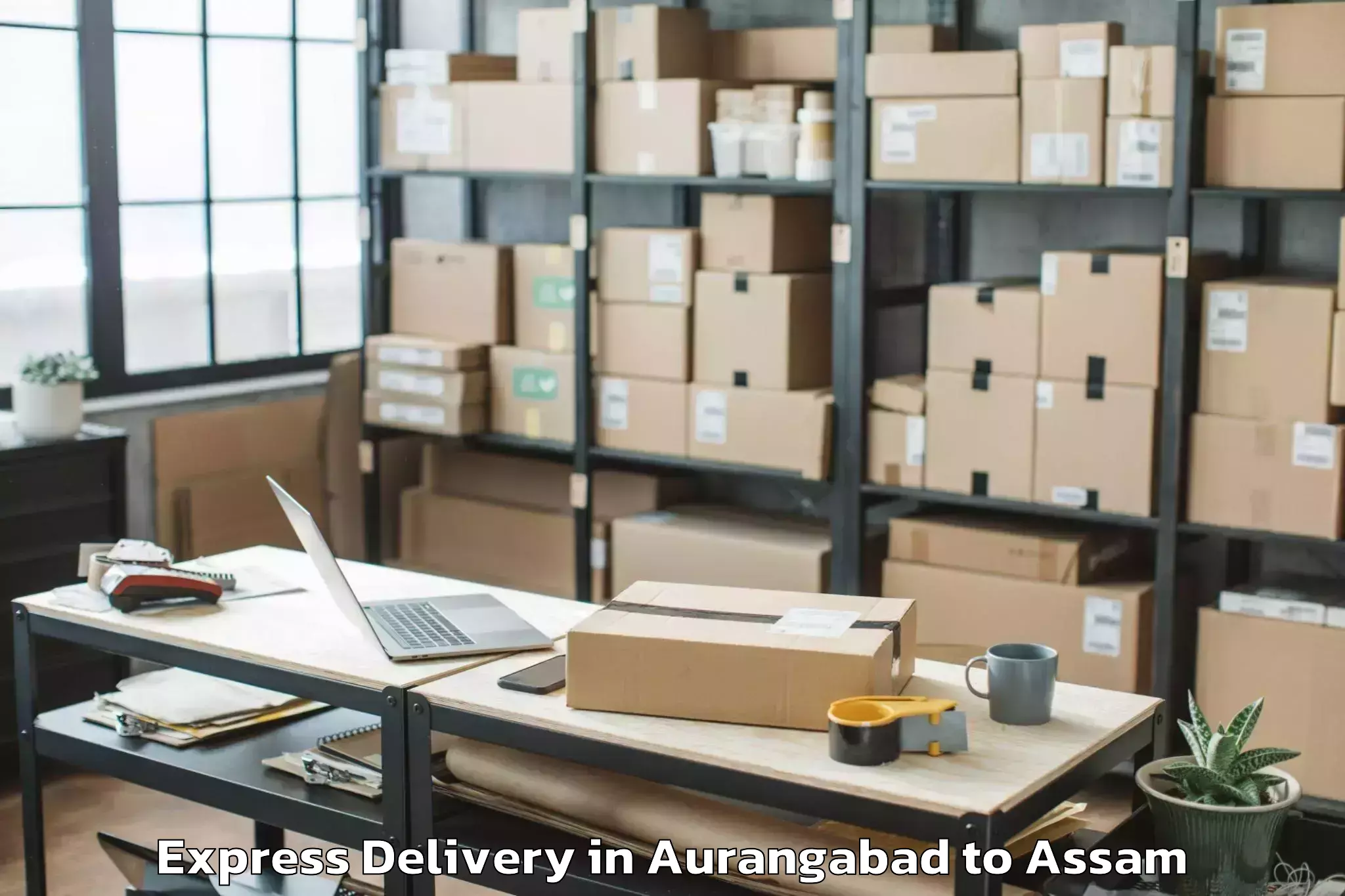 Affordable Aurangabad to Bajali Pt Express Delivery